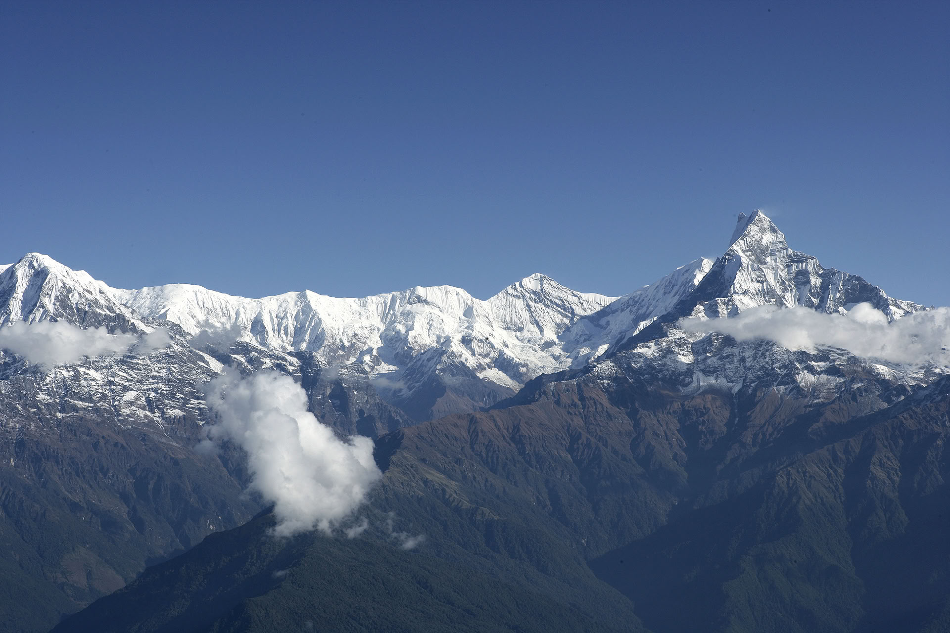 Machhapuchhre-trek en verkenning van de Himalaya, 11 dagen