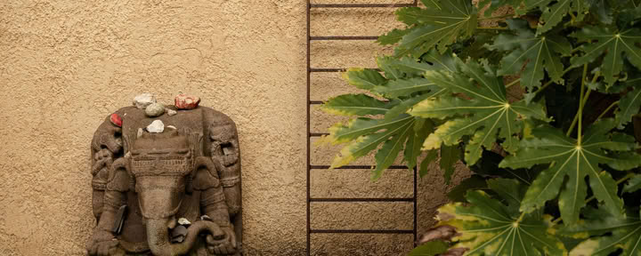 7-daagse stilte-, detox- en bewegingsretreat