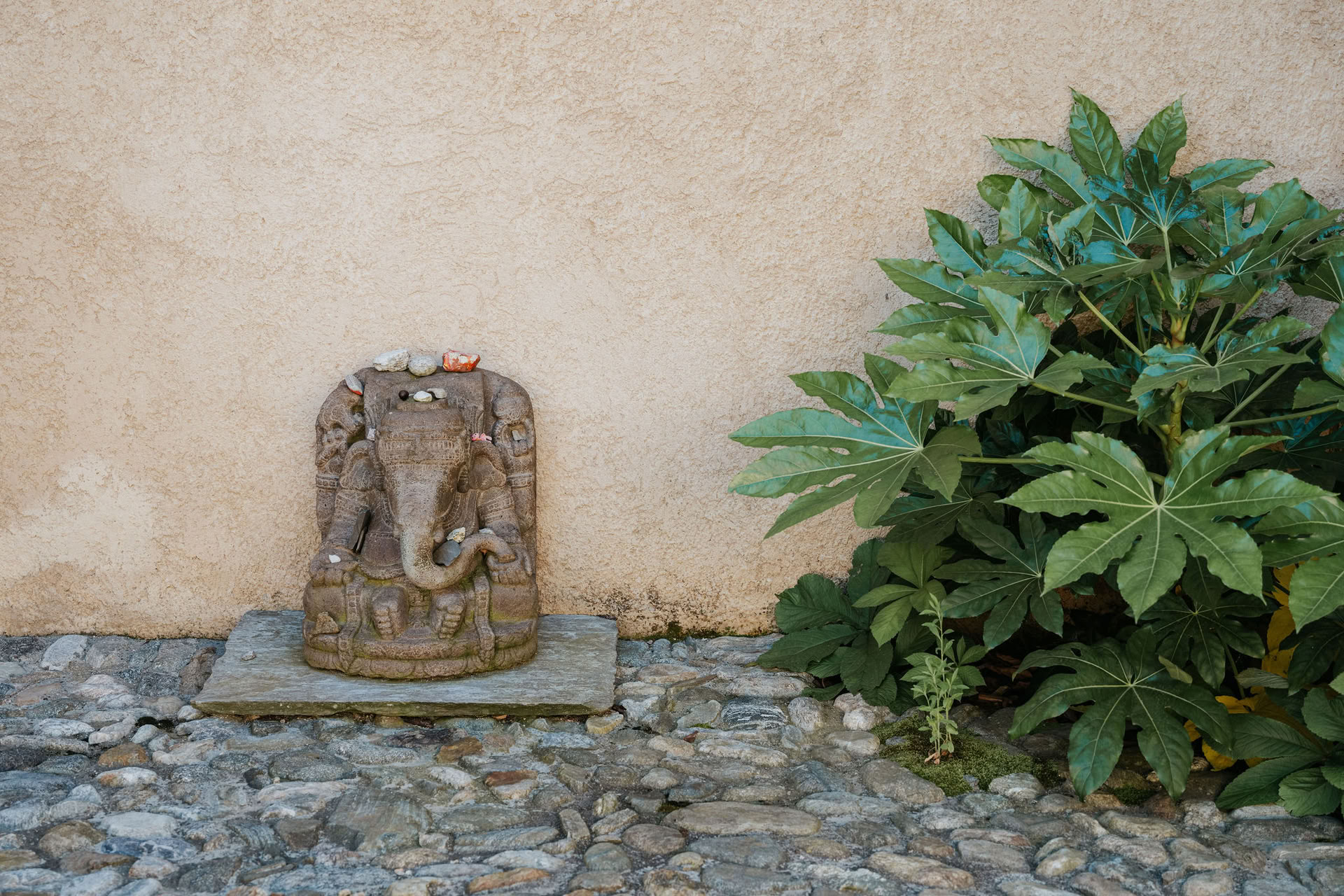 Yin-yoga retraite voor innerlijke stilte
