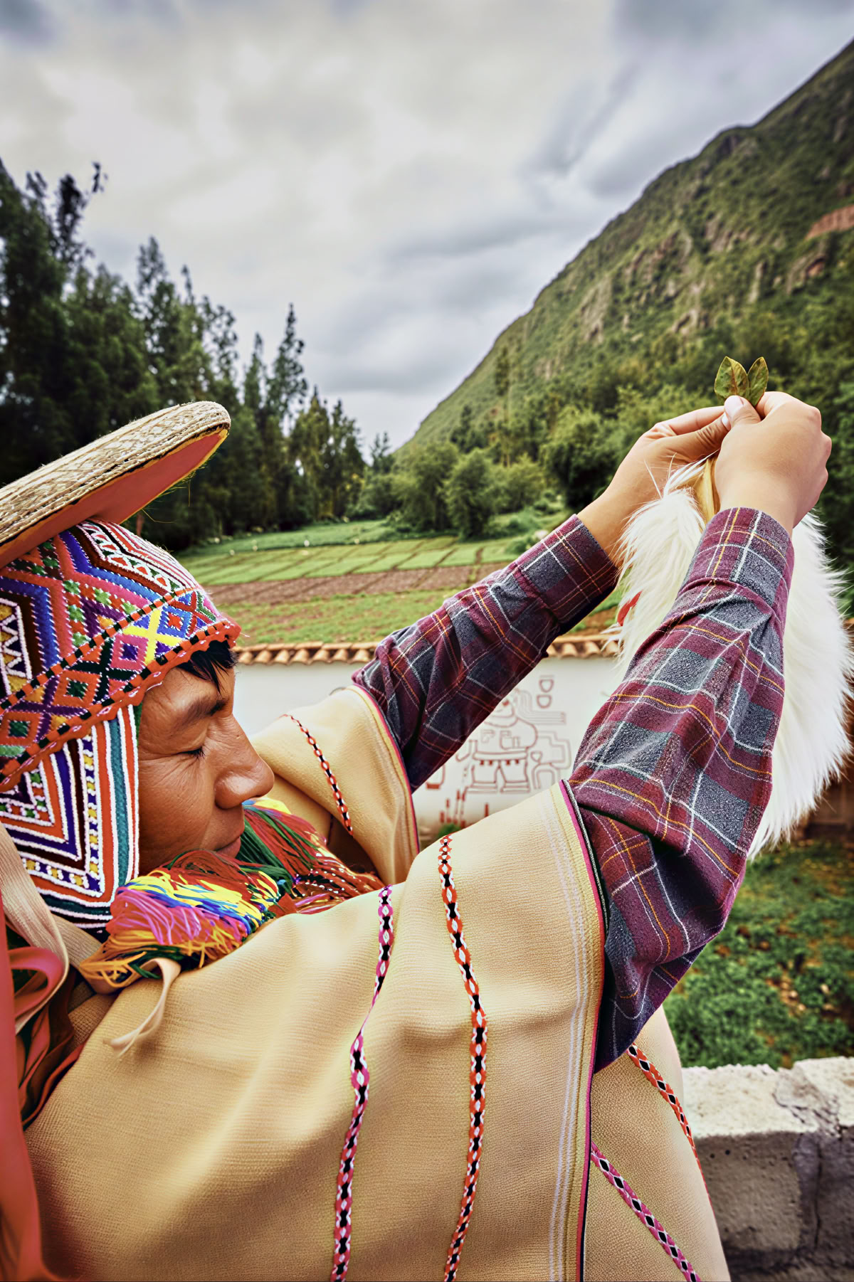 Plantaardige Medicijnceremonies in Peru