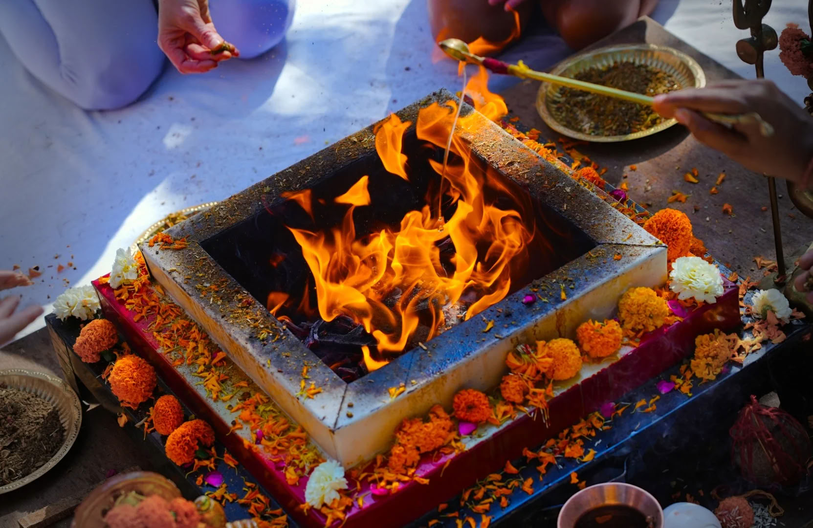 14-daagse yogaretreat in Rishikesh, India