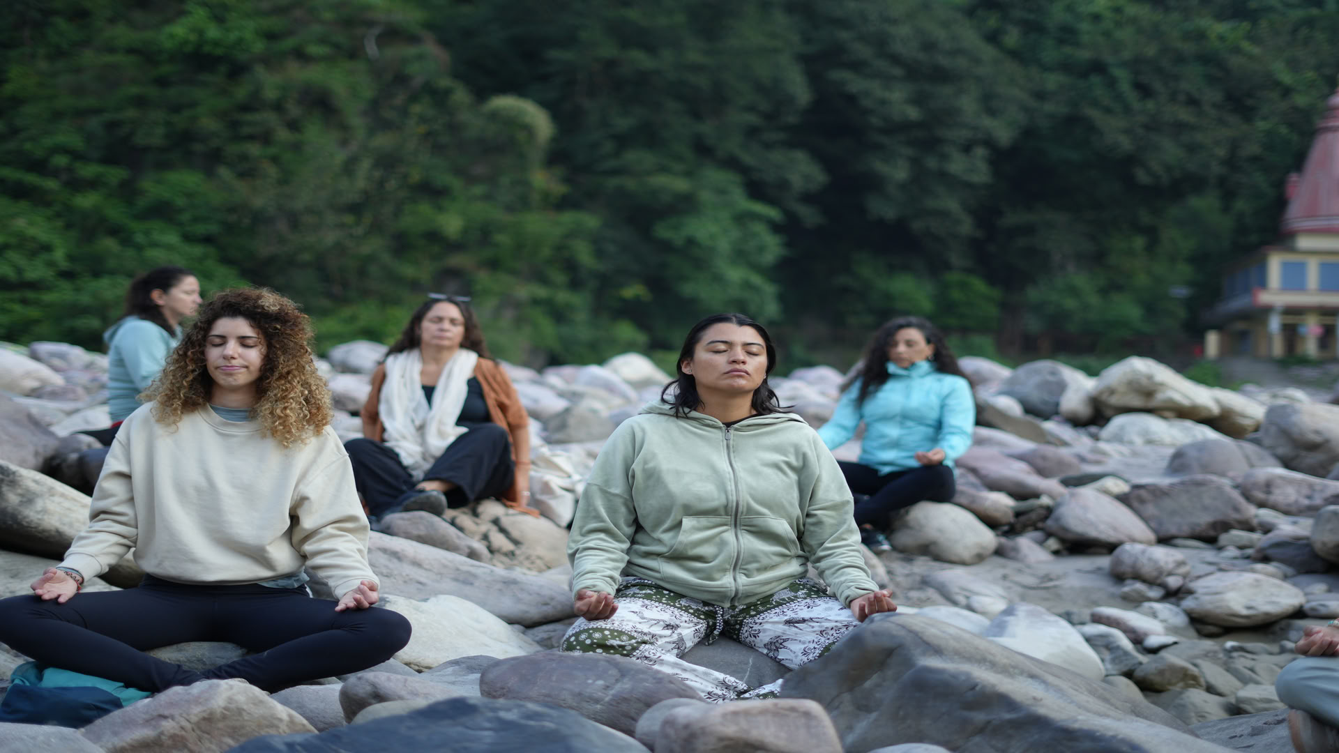Ayurvedisch ontgiftingsprogramma