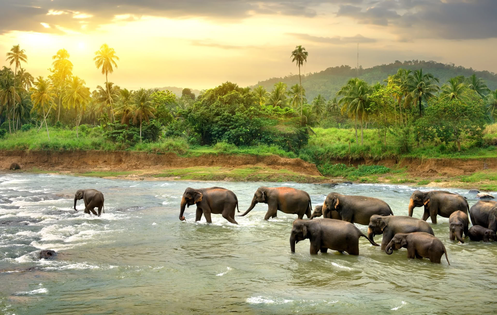 Rustige Paden: 7-daagse Sri Lanka Gelukzaligheid! Yoga, meditatie, cultuur, natuur
