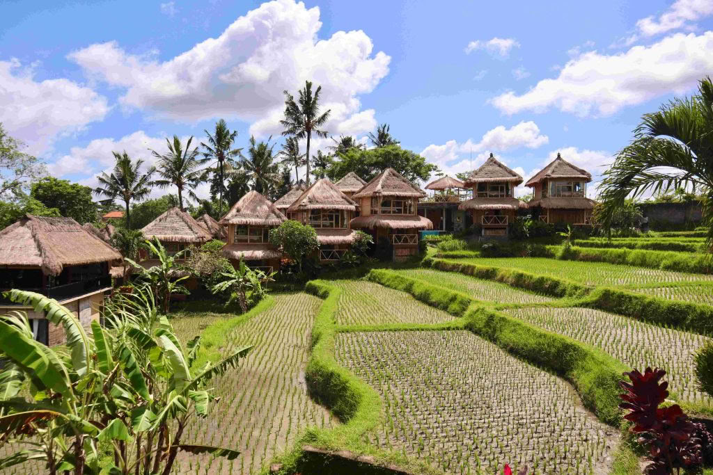 200-uurs yogadocentenopleiding Ubud, Bali | RYT 200-cursus