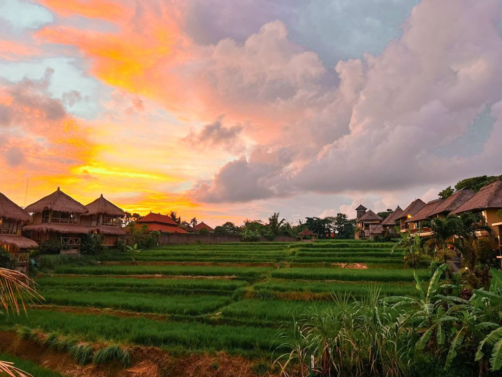 200-uurs yogadocentenopleiding Ubud, Bali | RYT 200-cursus