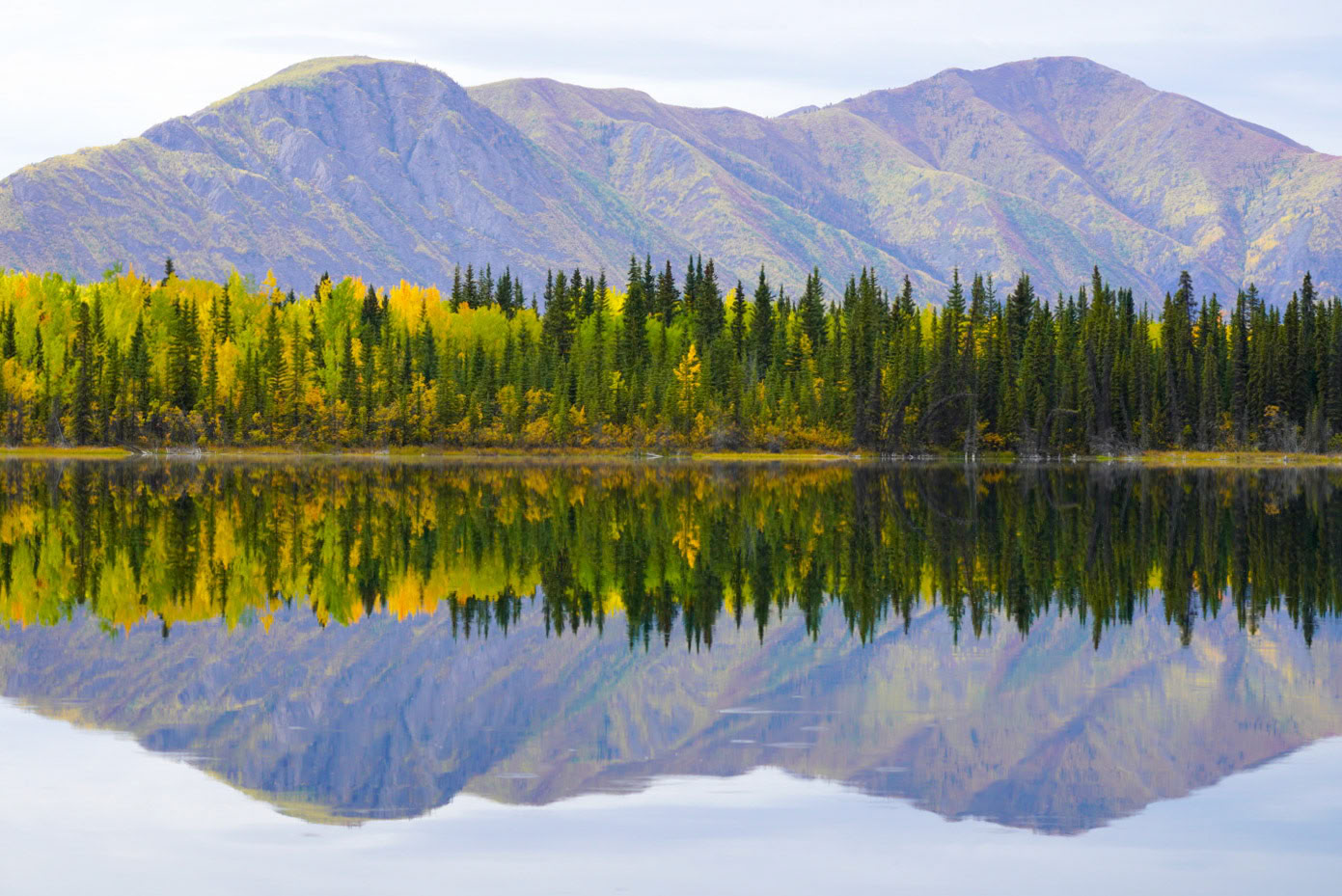 Zielruimte