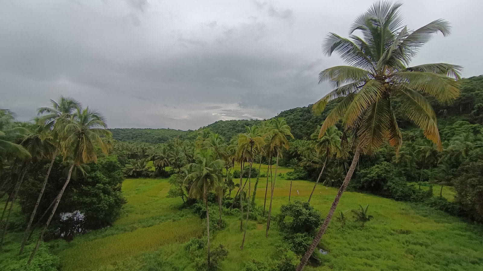 100-Uurs Gevorderde Tantra- en Kundaliniyoga-lerarenopleiding in Goa, India