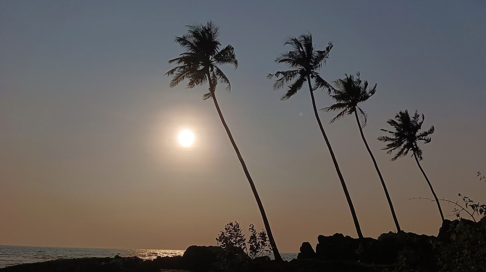 100-Uurs Gevorderde Tantra- en Kundaliniyoga-lerarenopleiding in Goa, India