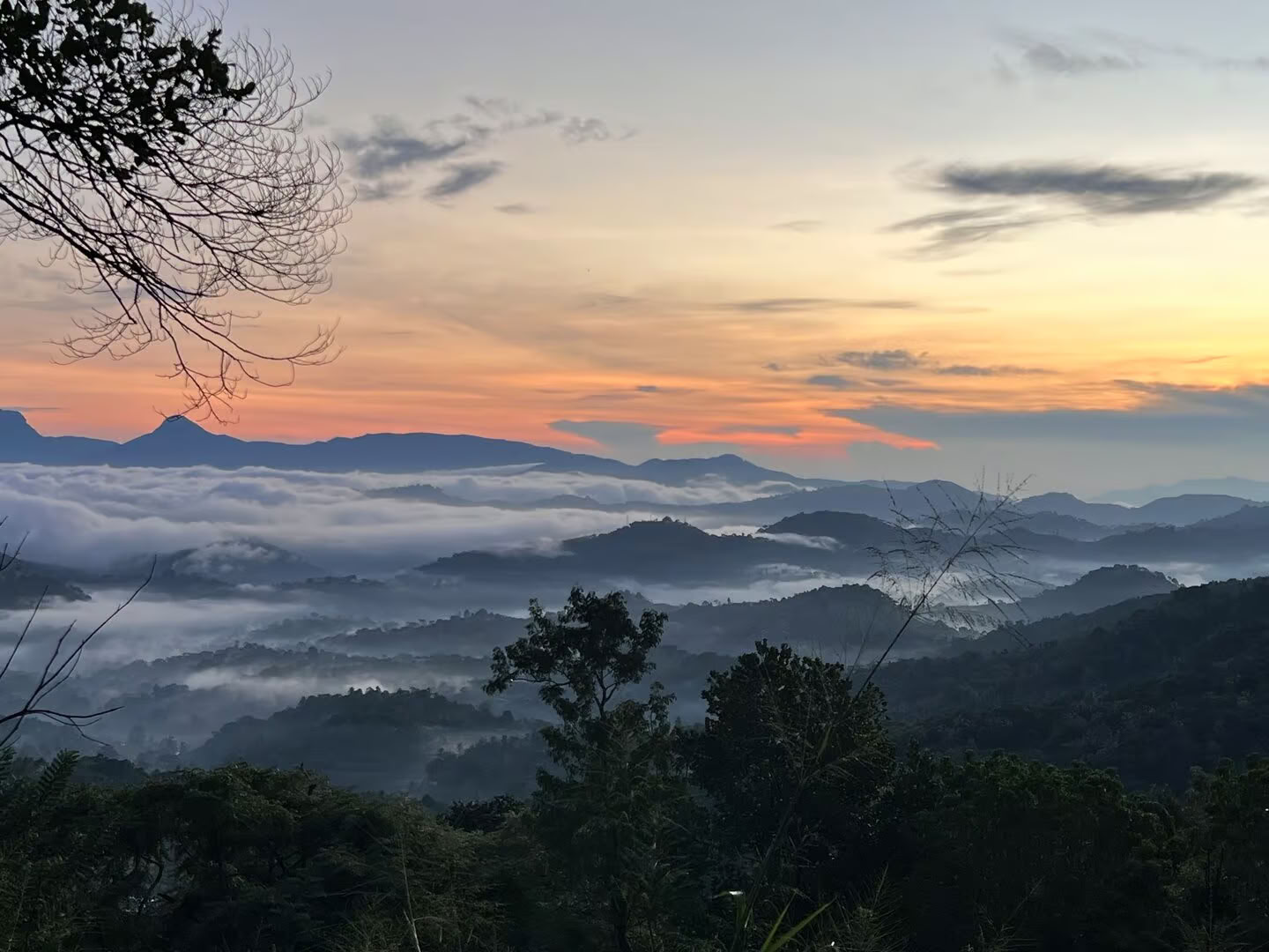 Yoga, reizen en Ayurveda op Sri Lanka: een avontuur voor de ziel