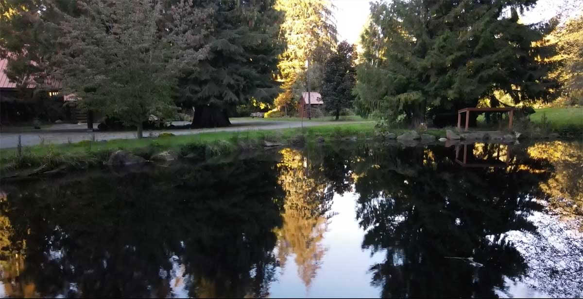 Detox-retreat – Herfstkuur