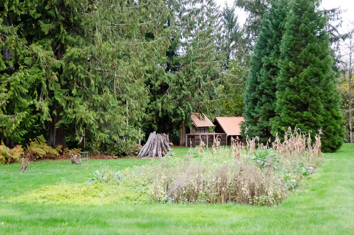 Detox-retreat – Herfstkuur