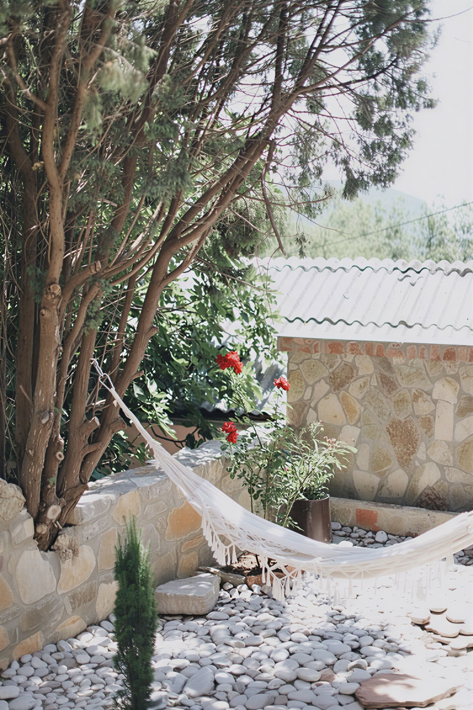 Yoga-, detox- en kruidenkookretreat door Dr Lemm