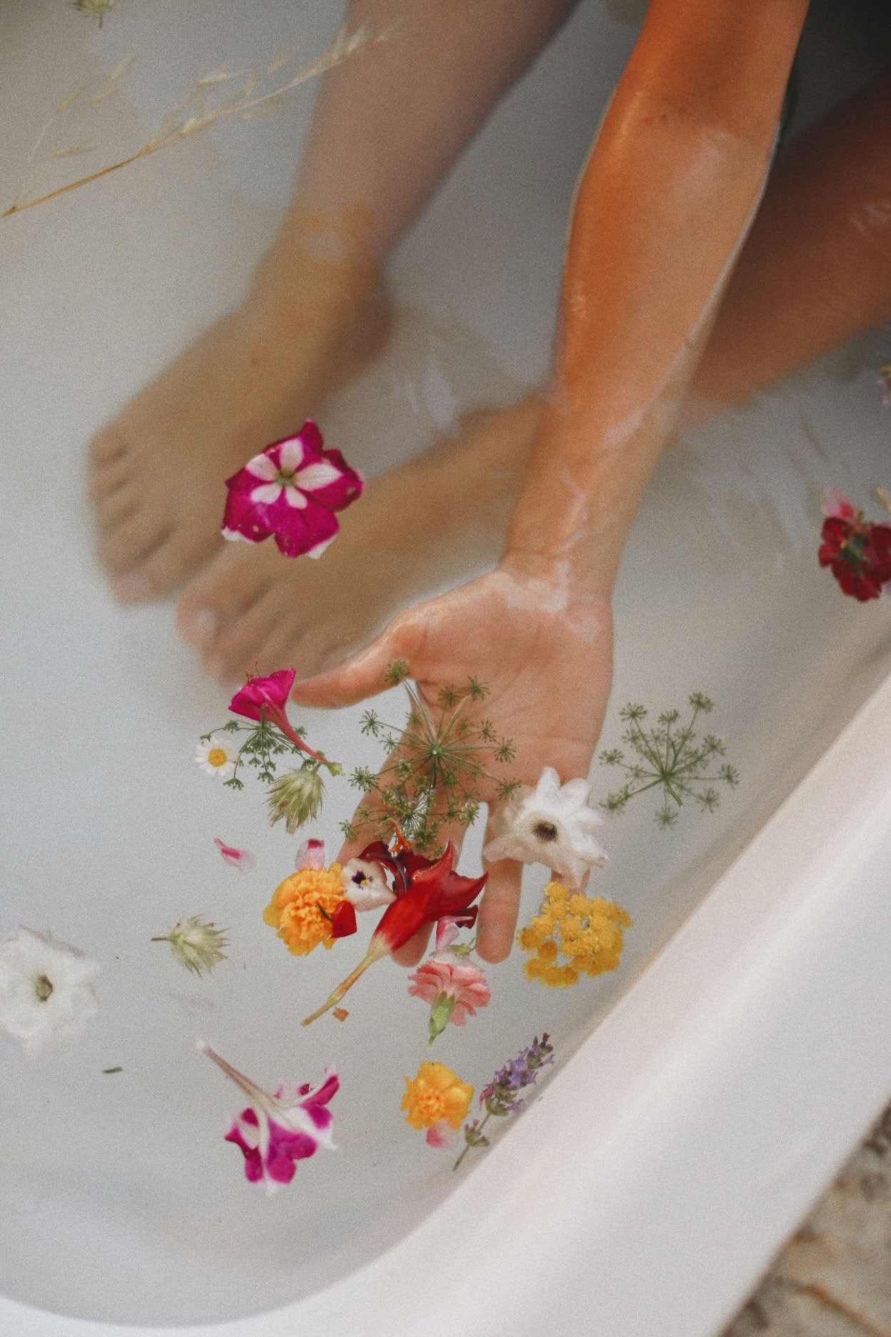Yoga-, detox- en kruidenkookretreat door Dr Lemm