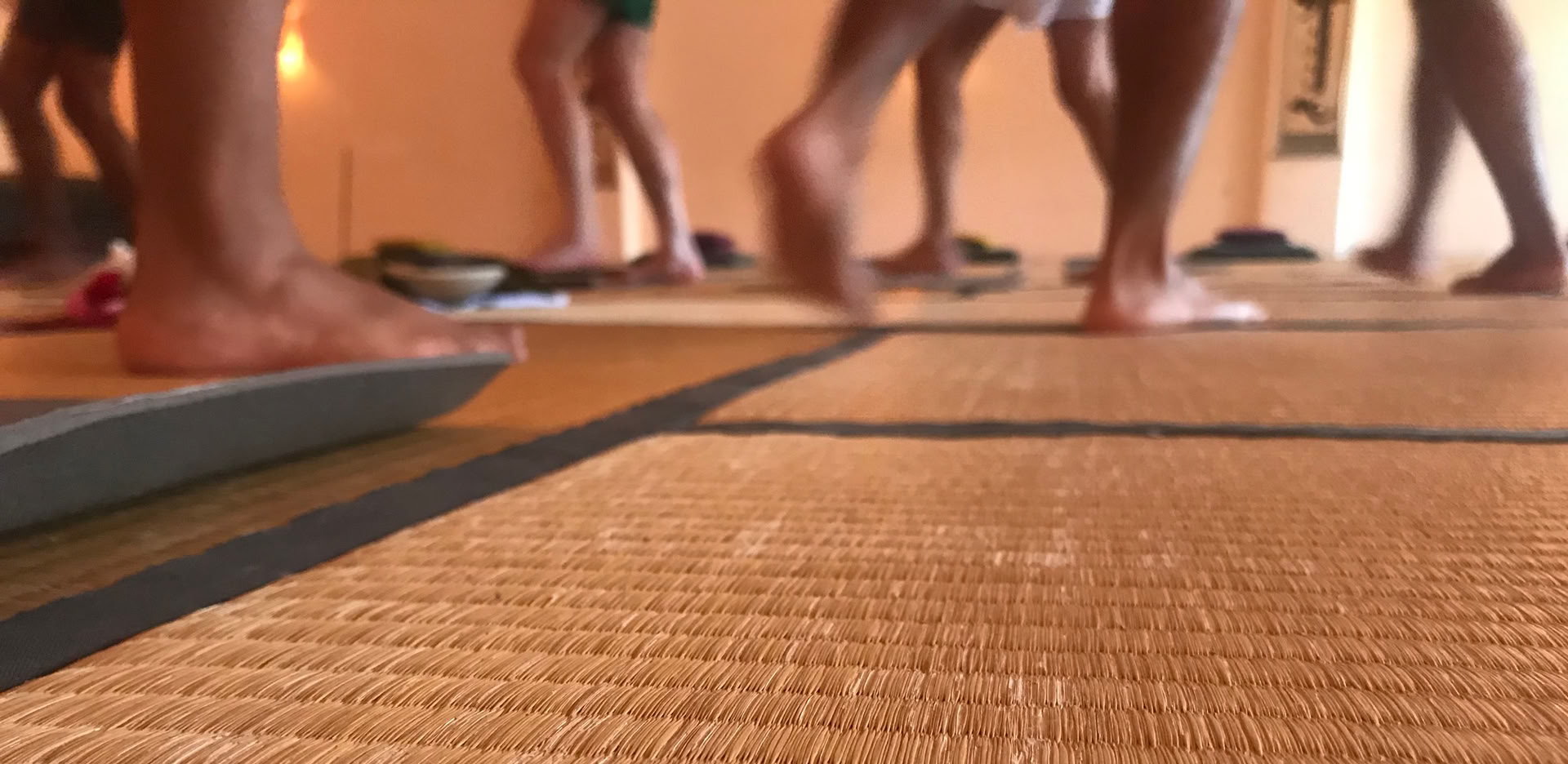 Iyengar-les