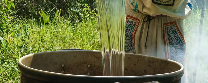7-daagse ayahuasca-retraite