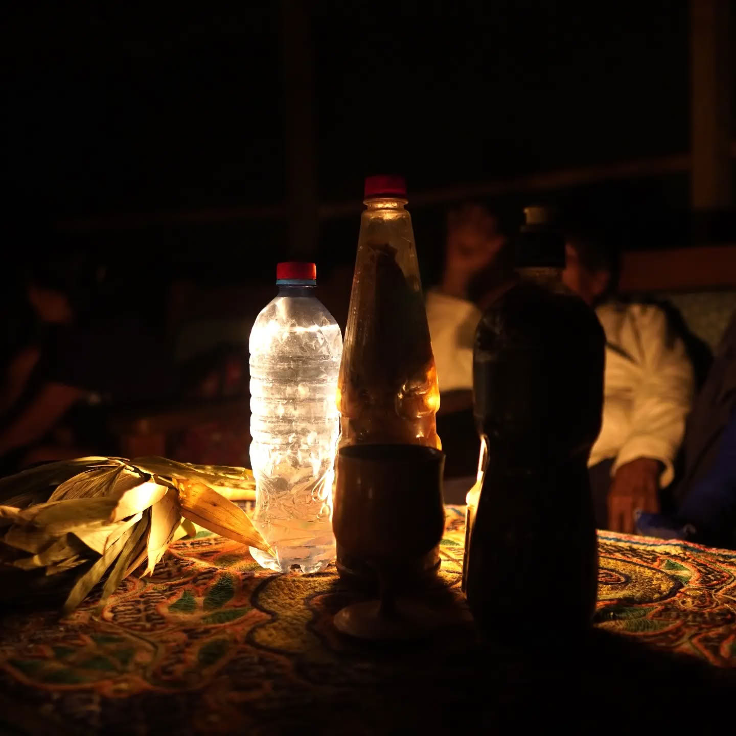 14-daagse ayahuasca-retraite