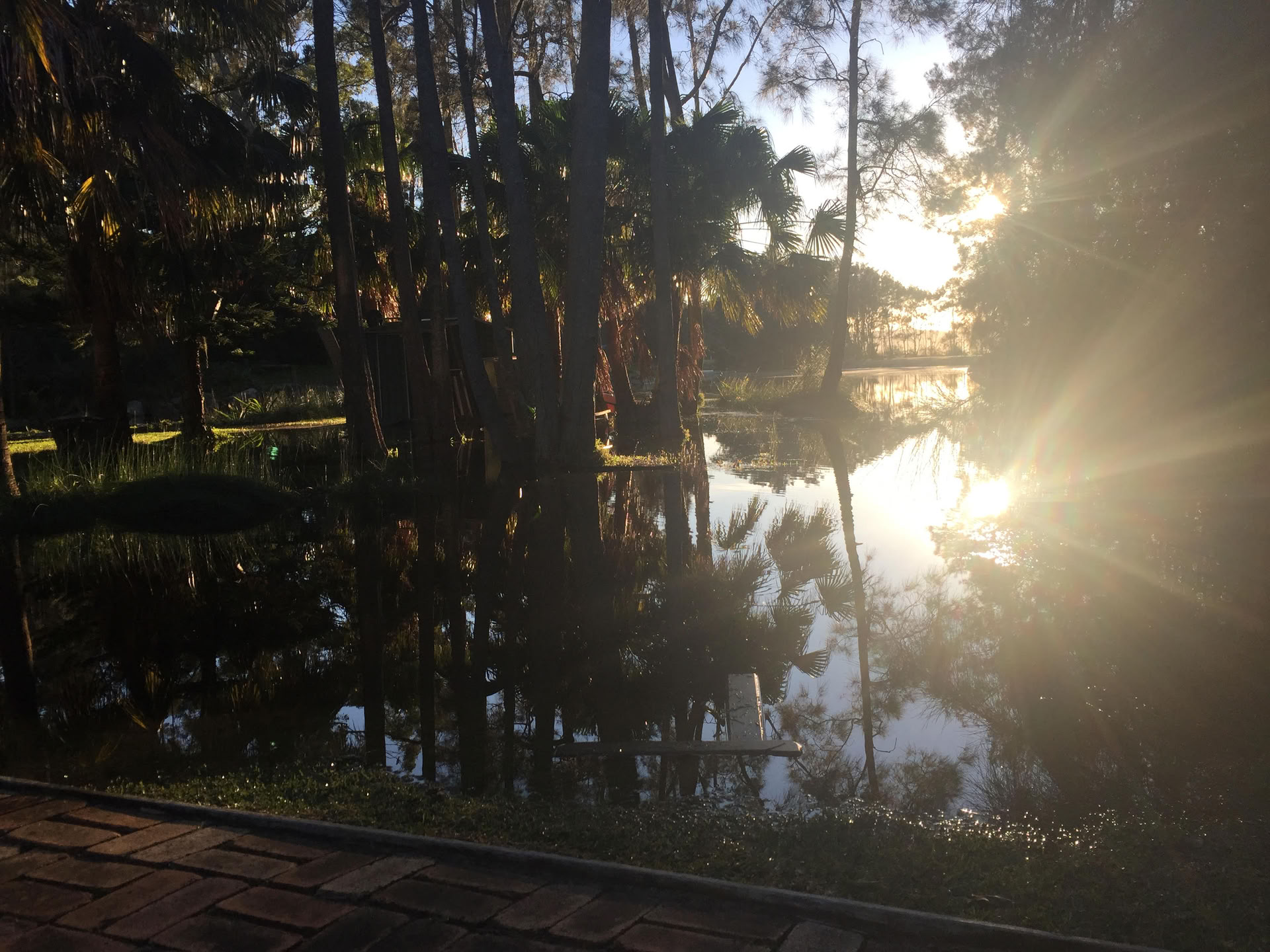 Geavanceerd weekendretreat voor yogi’s