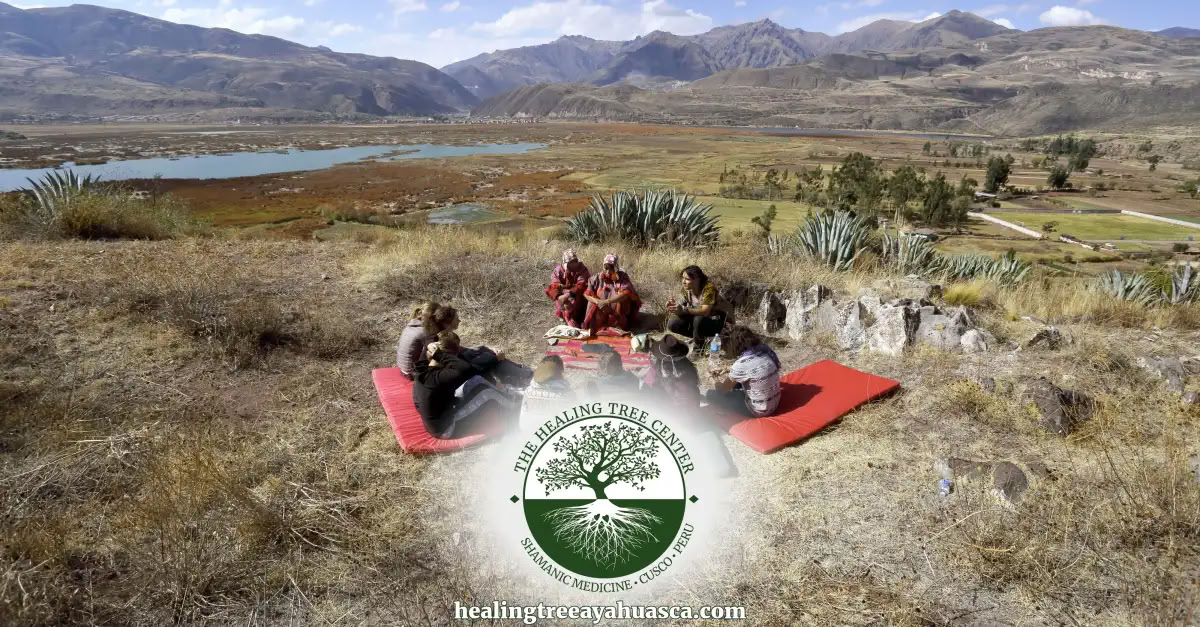 Volledige dag San Pedro-retraite in Peru: heilige ceremonie & verbinding met de aarde
