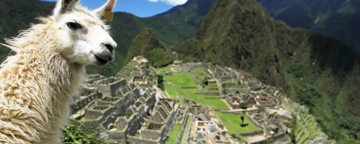 7-daagse ayahuasca-retraite & Machu Picchu: heilige helende reis