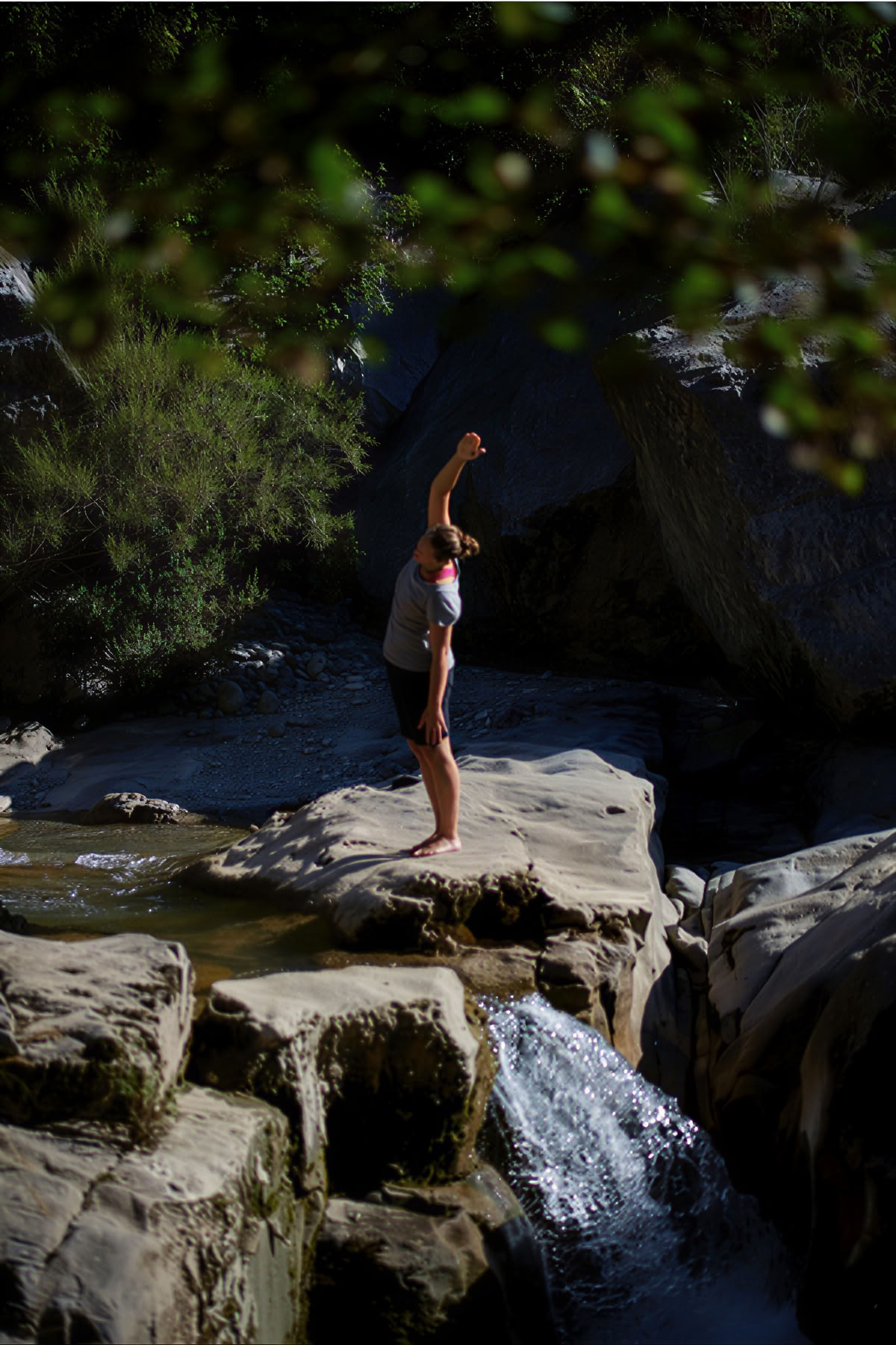 Dansende natuur: retraite met beweging, yoga, kunst en wandelen