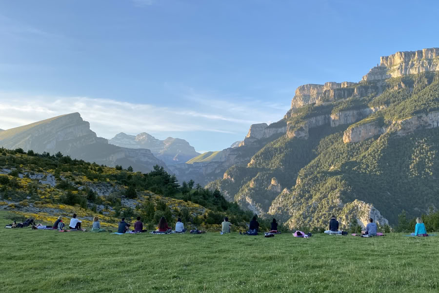 Dansende natuur: retraite met beweging, yoga, kunst en wandelen