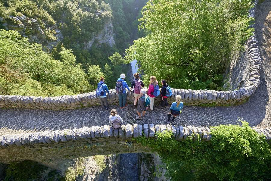 Dansende natuur: retraite met beweging, yoga, kunst en wandelen