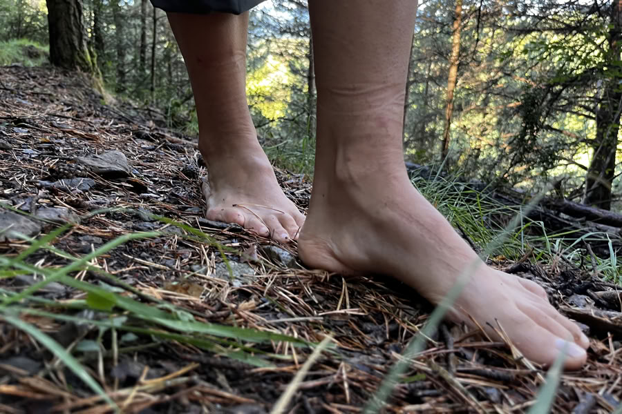 Dansende natuur: retraite met beweging, yoga, kunst en wandelen