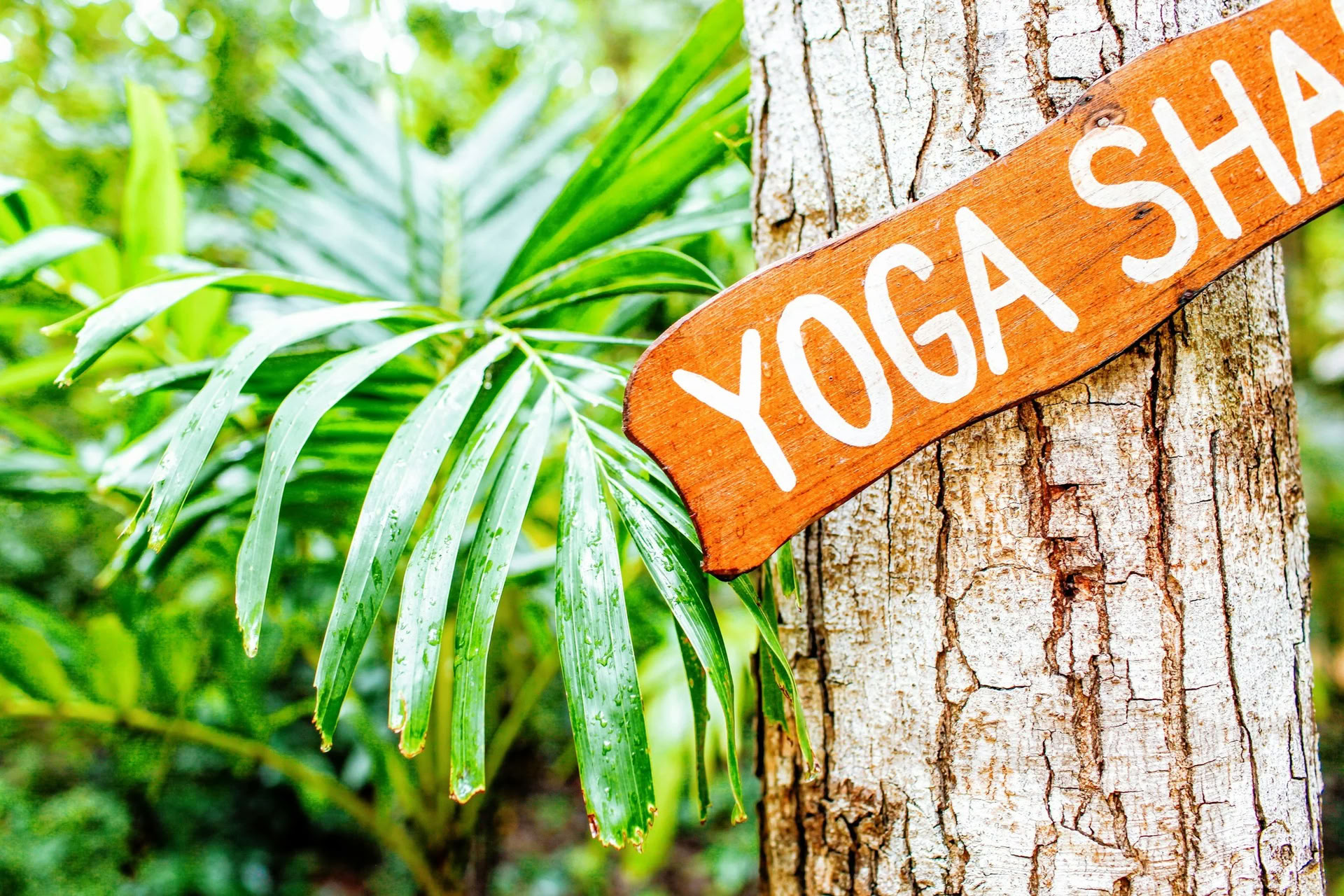 Ashtanga-yoga-immersionretreat