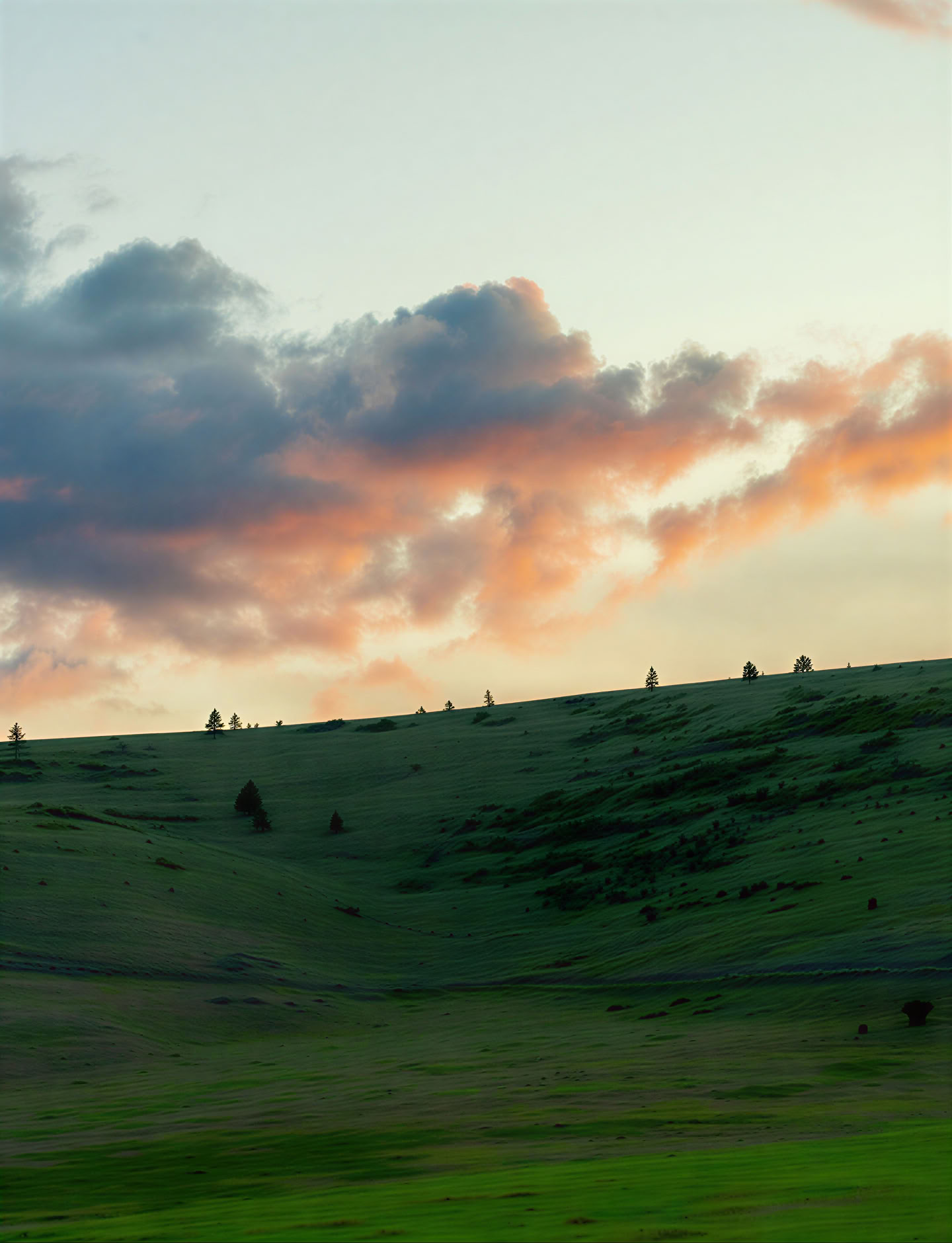 Boeddha, Dharma, Sangha-retreat