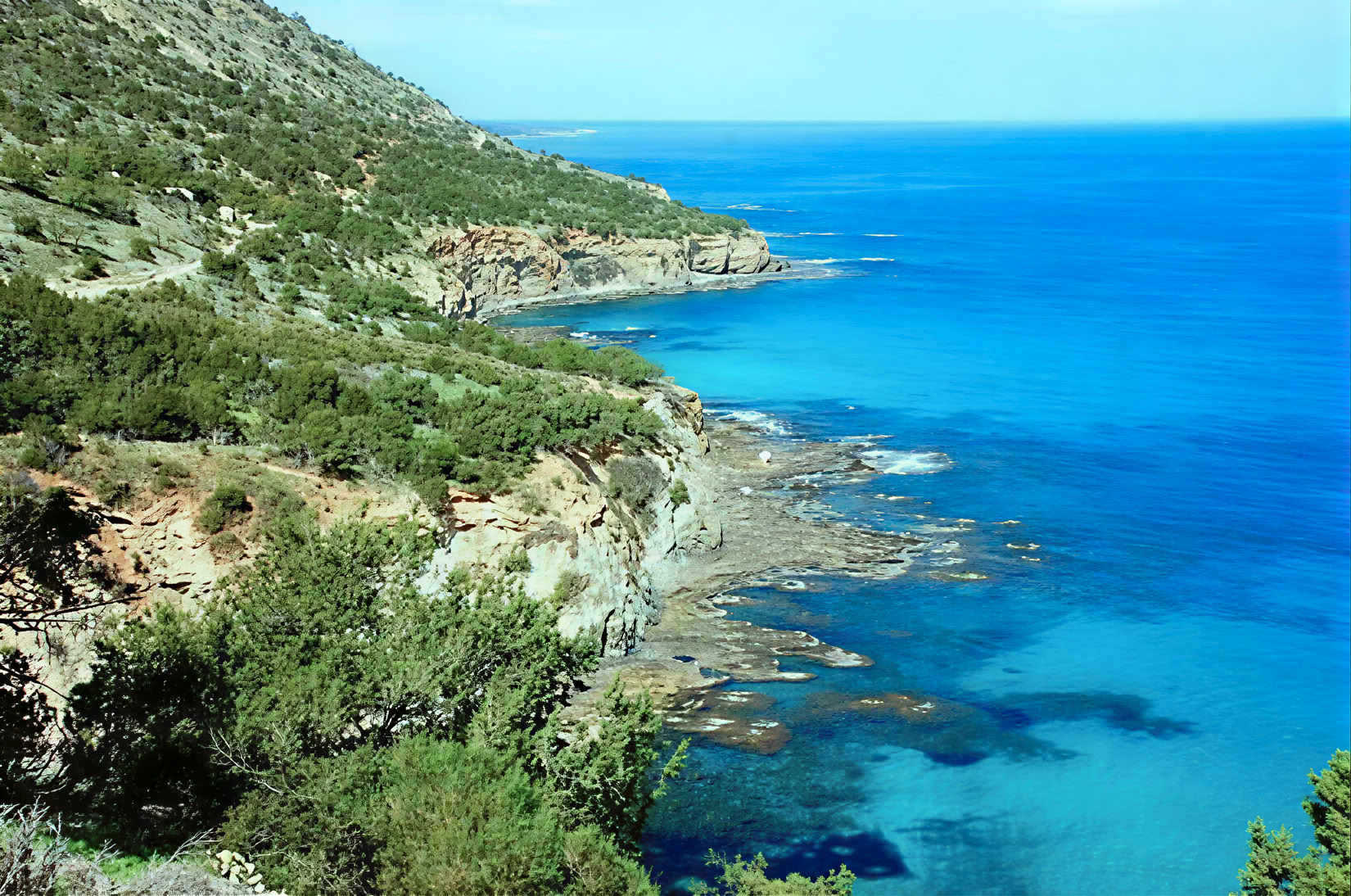 Saudische detox health retreat