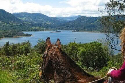 Wellnessretreat in Colombia