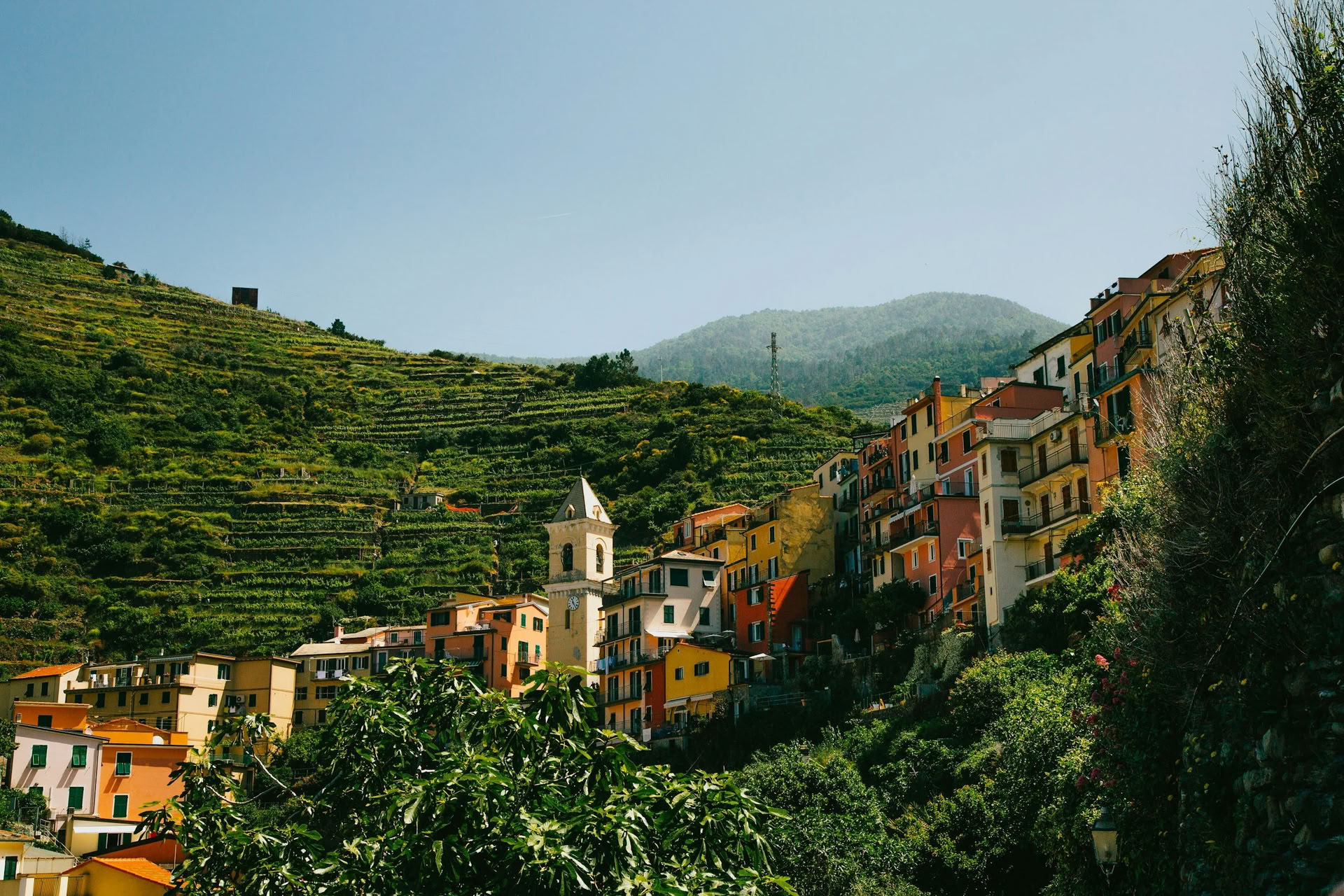 6-daagse Shaktipāt- en meditatieretraite met Lina Leimonte, 6-12 september 2026, bij Olea Retreat, Italië