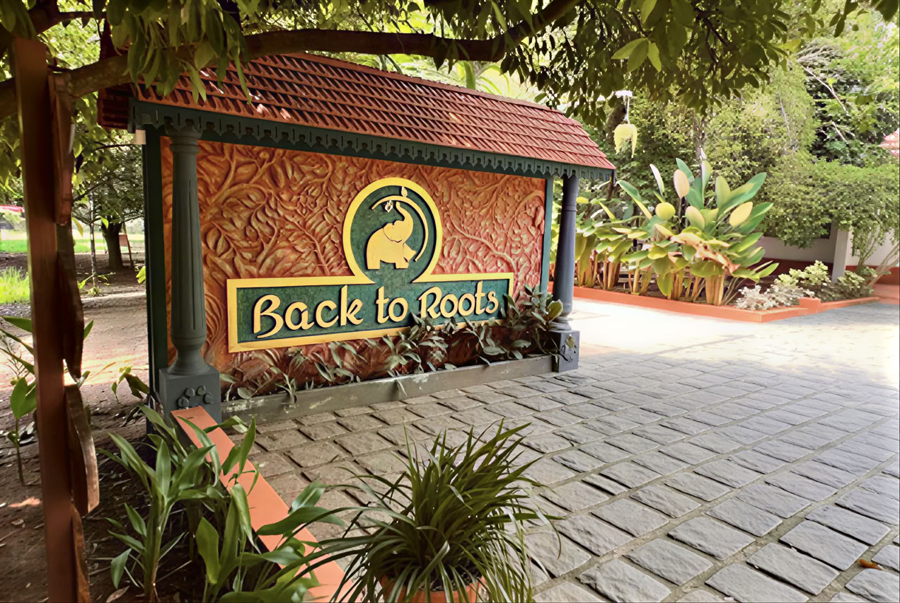 14 Nachten Detox bij Back to Roots Ayurveda