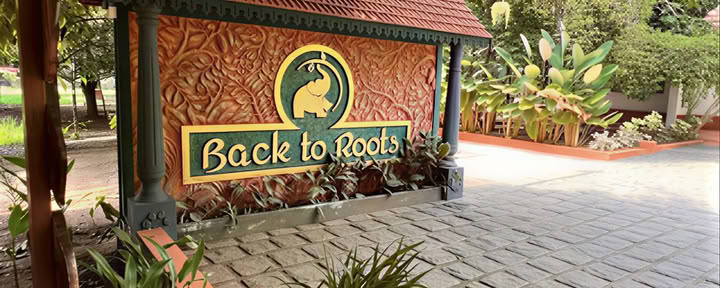 14 Nachten Detox bij Back to Roots Ayurveda