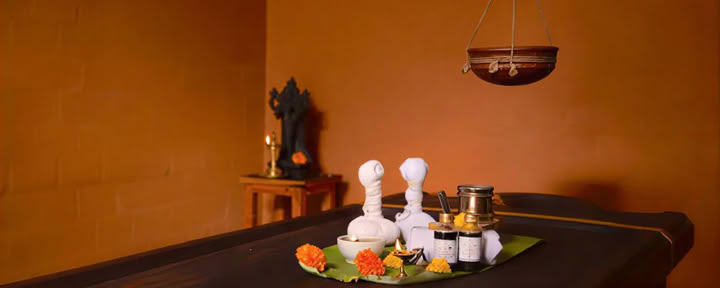 28-daagse Panchakarma-behandeling bij Vaidyagrama — Coimbatore