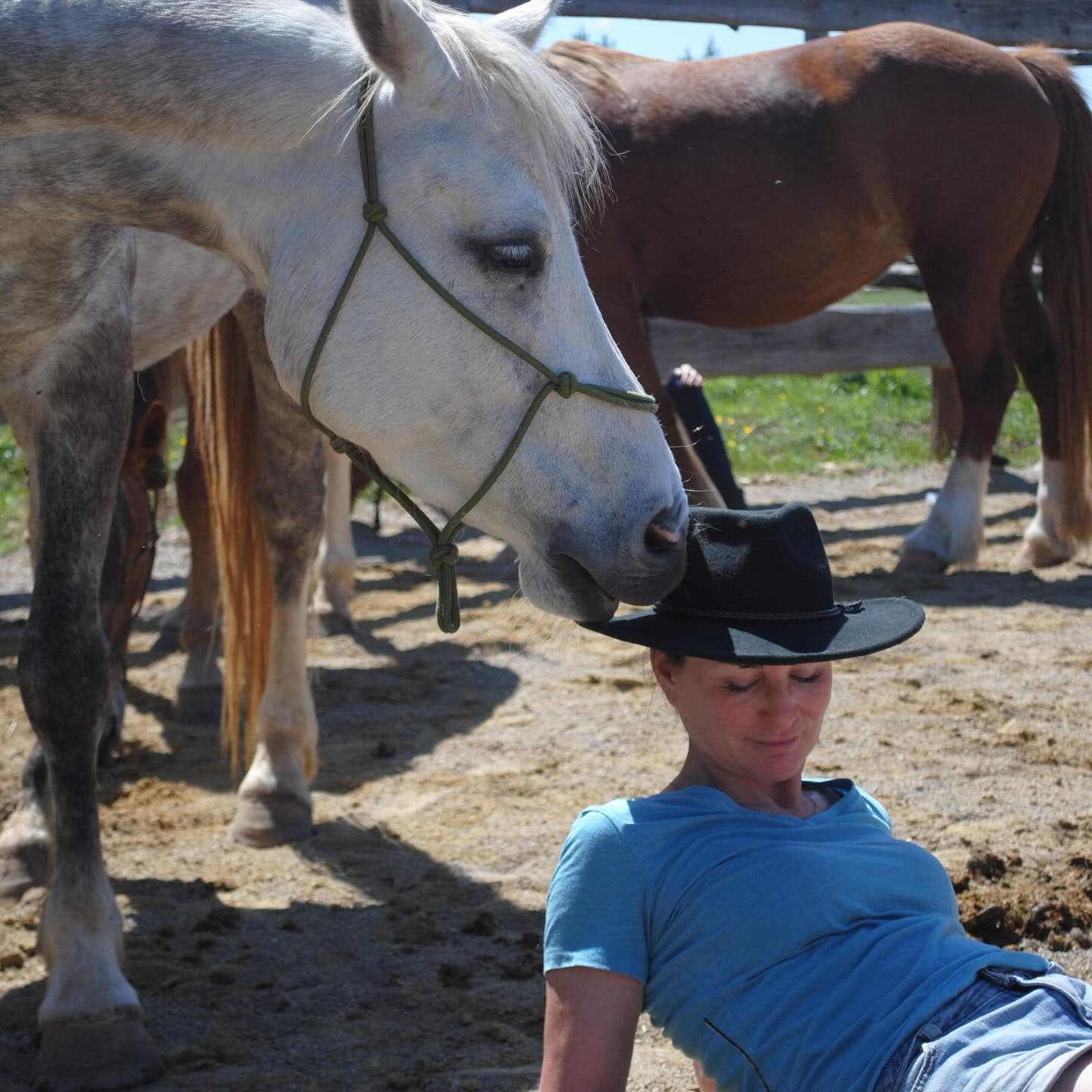 Herstel te paard – 19 t/m 23 oktober