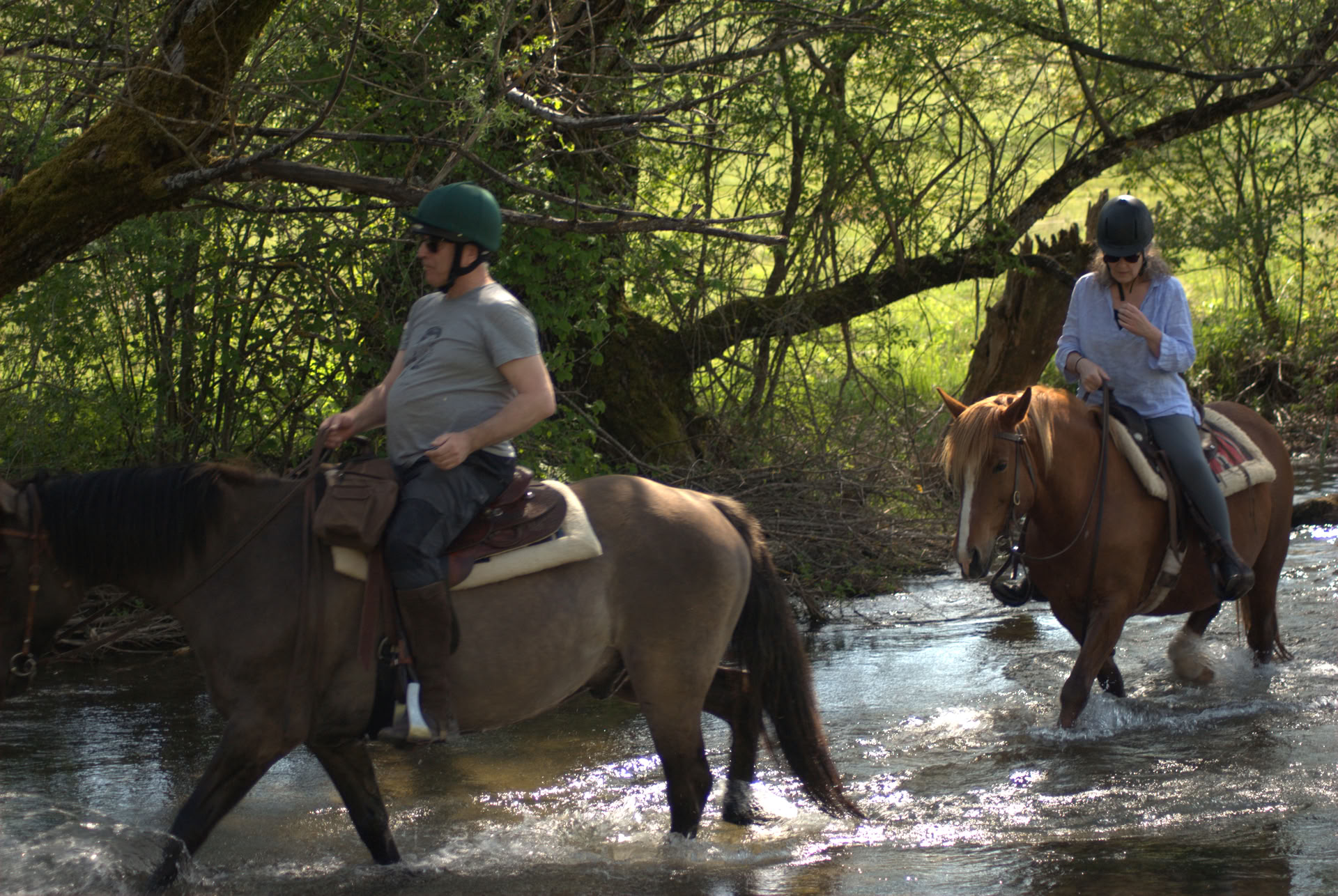 Herstel te paard – 19 t/m 23 oktober