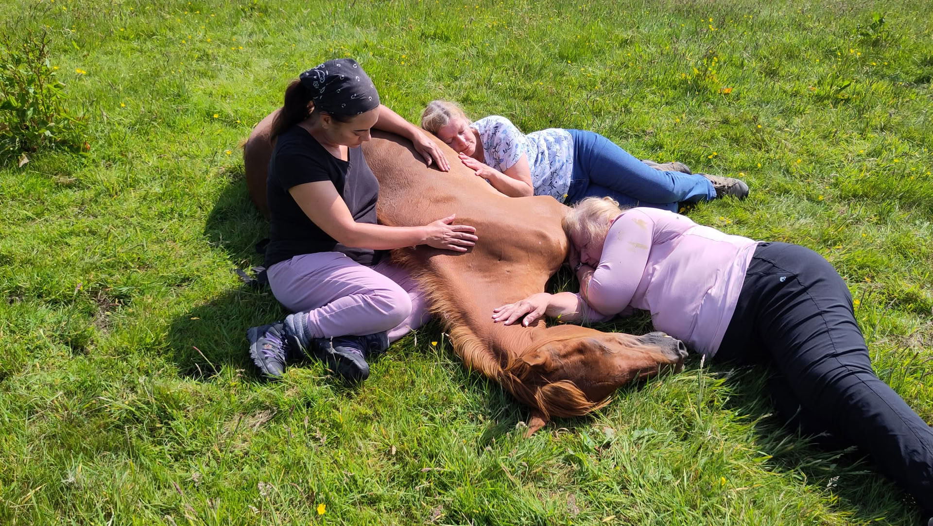 Stille Heling met Paarden – 27 sep - 2 okt