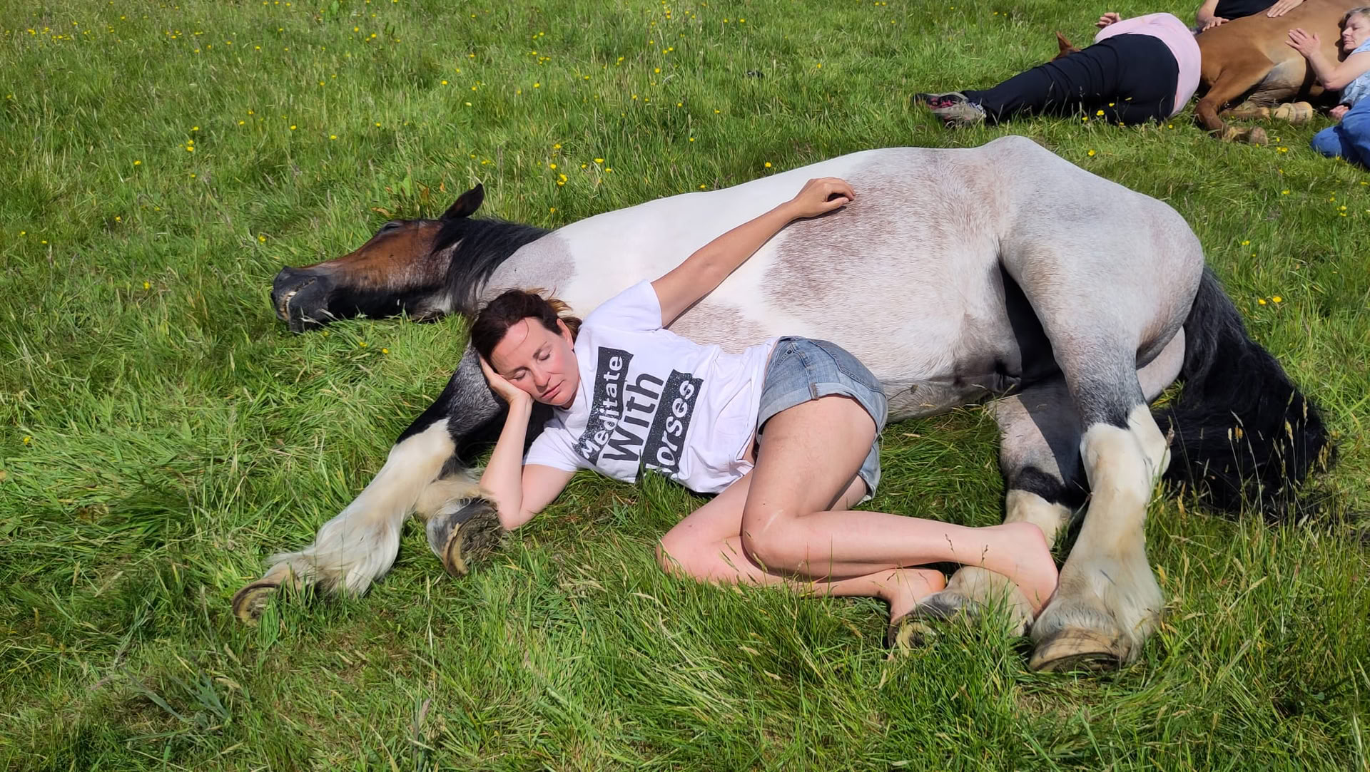 Stille heling met paarden 23/08/2026 tot 28/08/2026