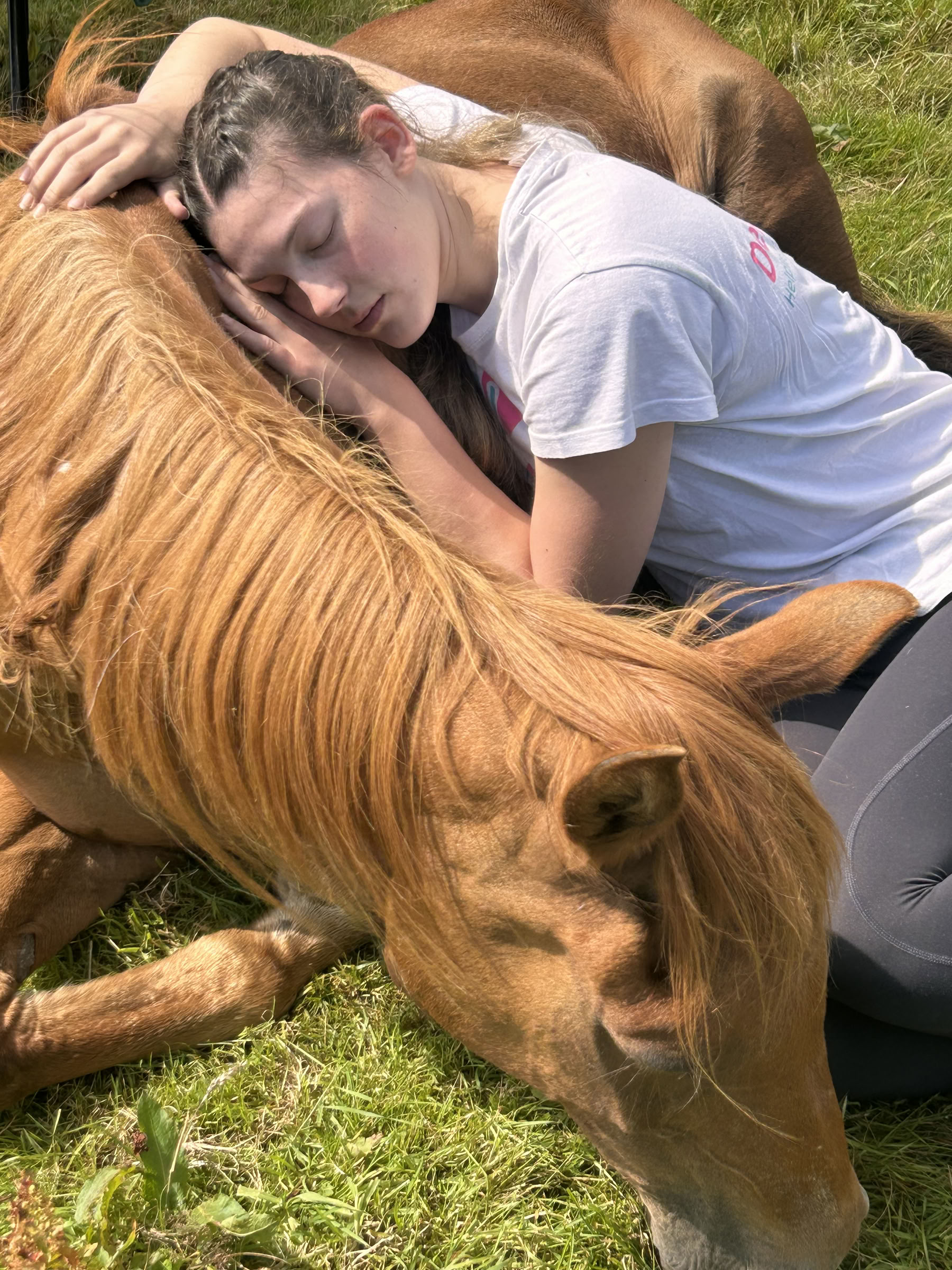 Stille Healing met Paarden 06/12/2026 tot 11/12/2026
