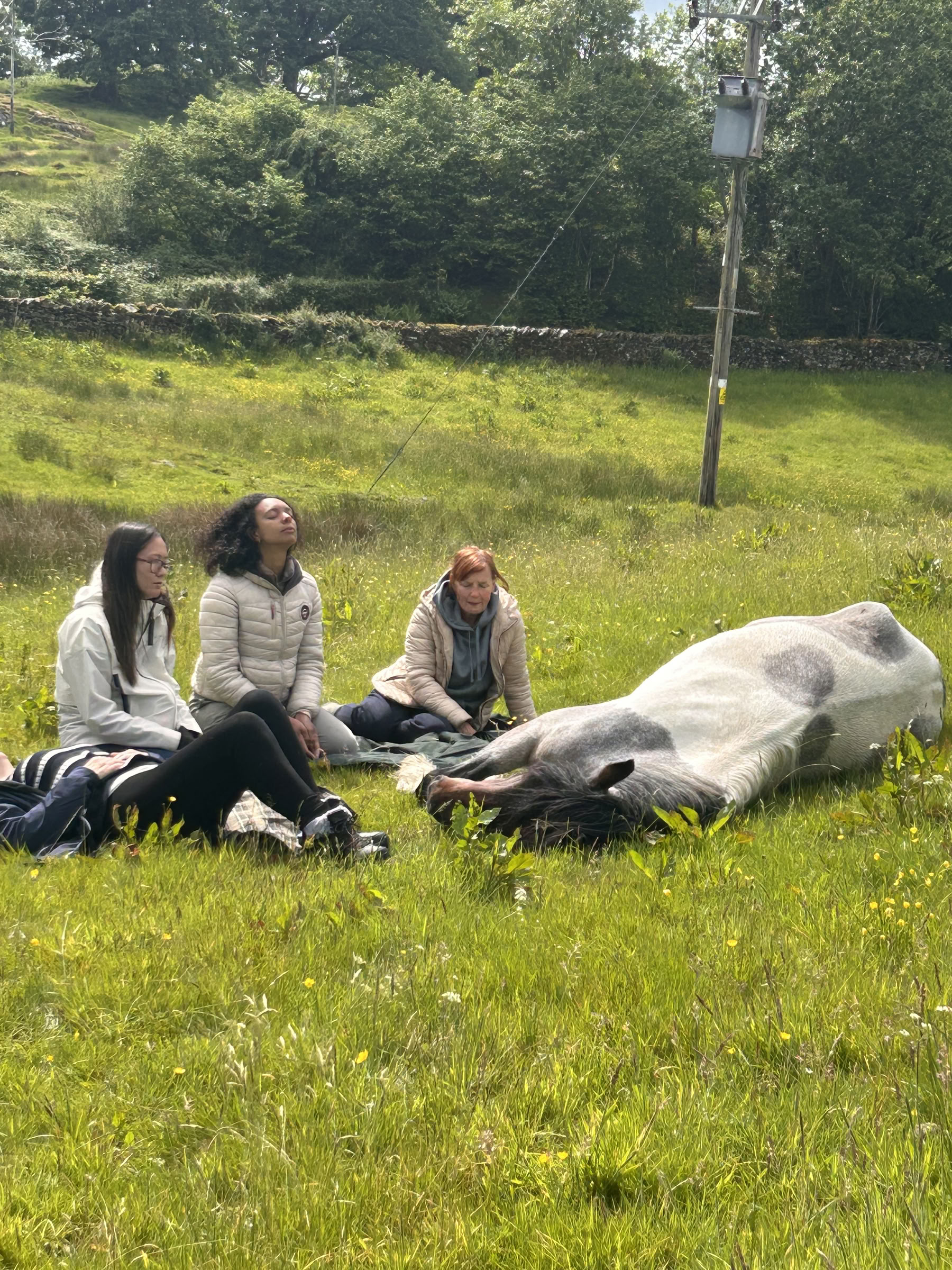 Stille healing met paarden 18/10/2026 - 23/10/2026