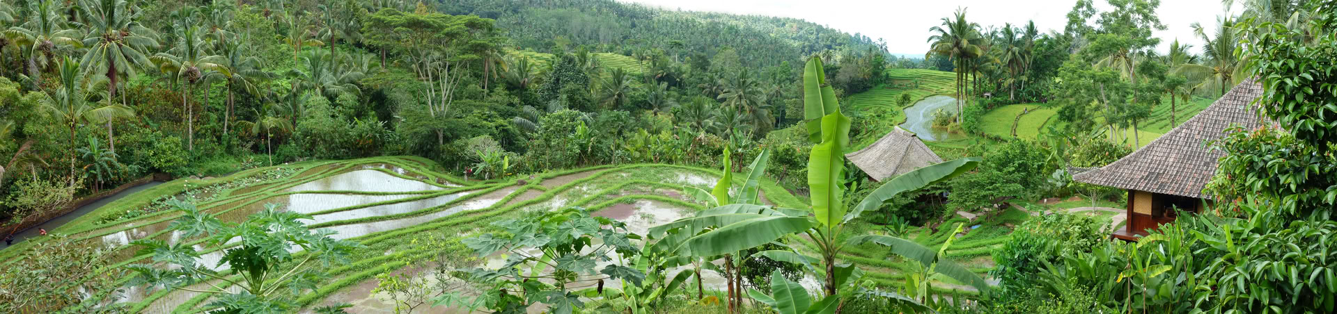 Eenmalig Bali-aanbod