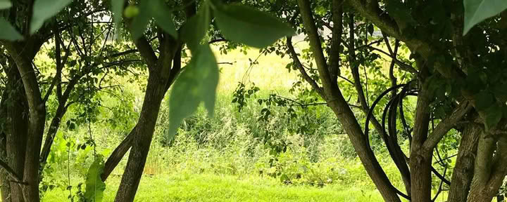 Yoga- en Ayurveda-hormoonbalanceretreat