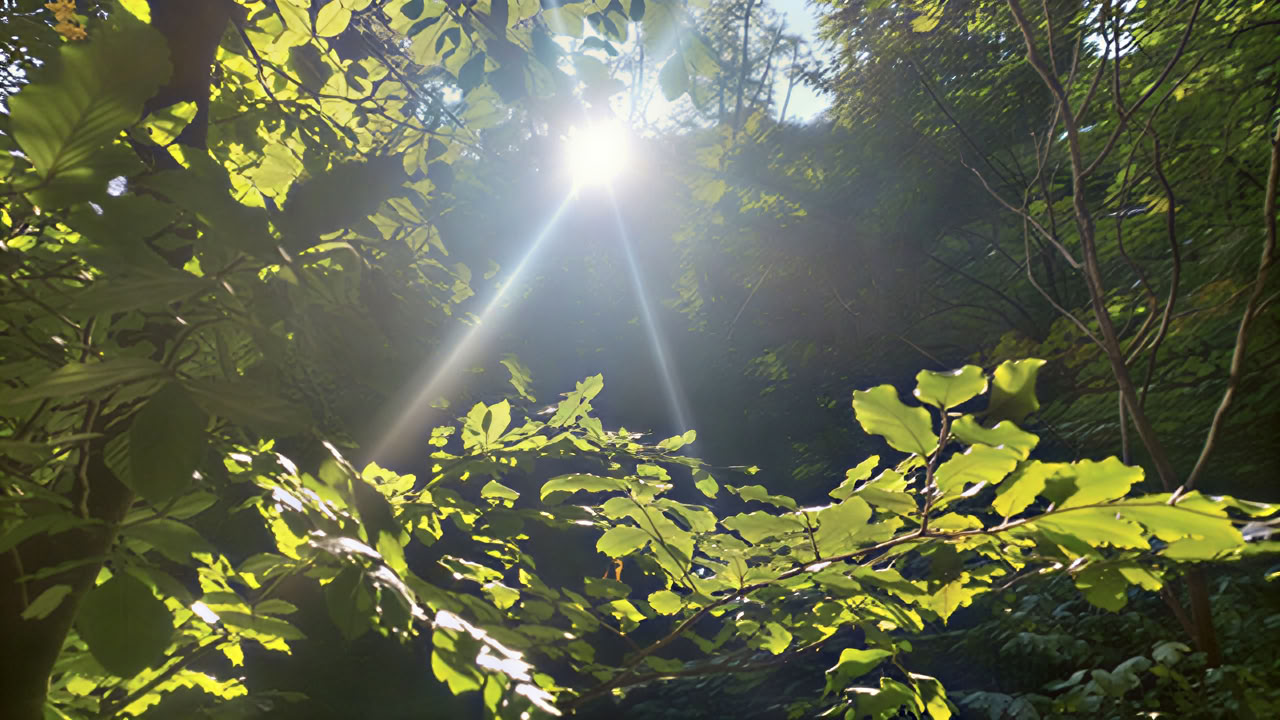 Mindfulness en Metta – Een yogawochenend