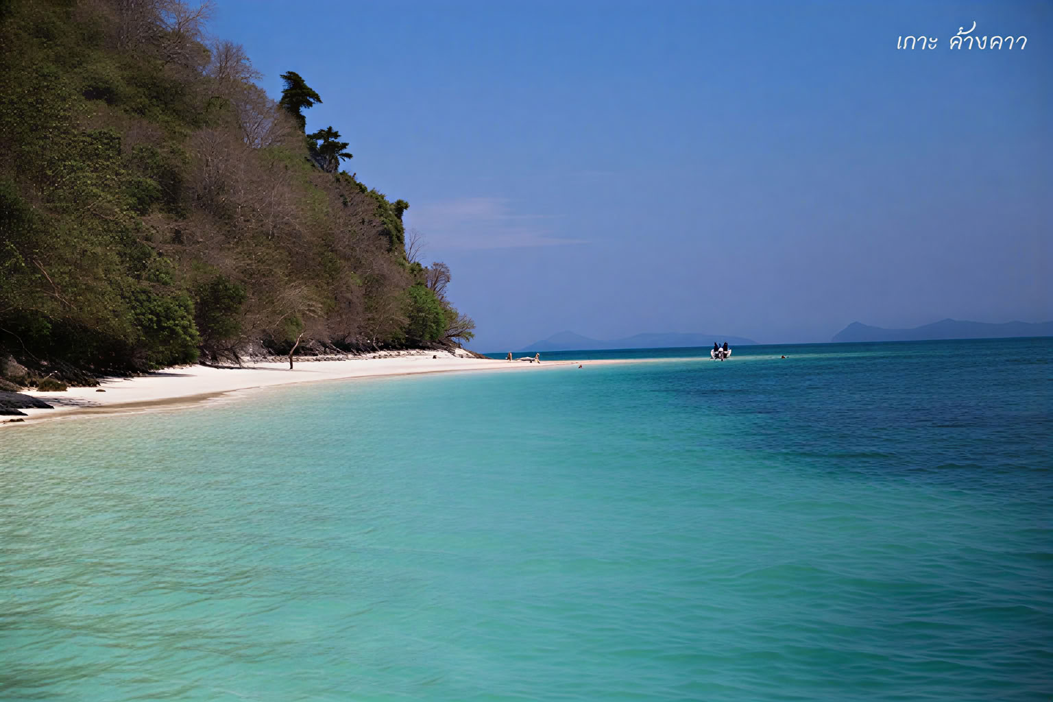 Van de jungle tot de zee-vakantiepakket