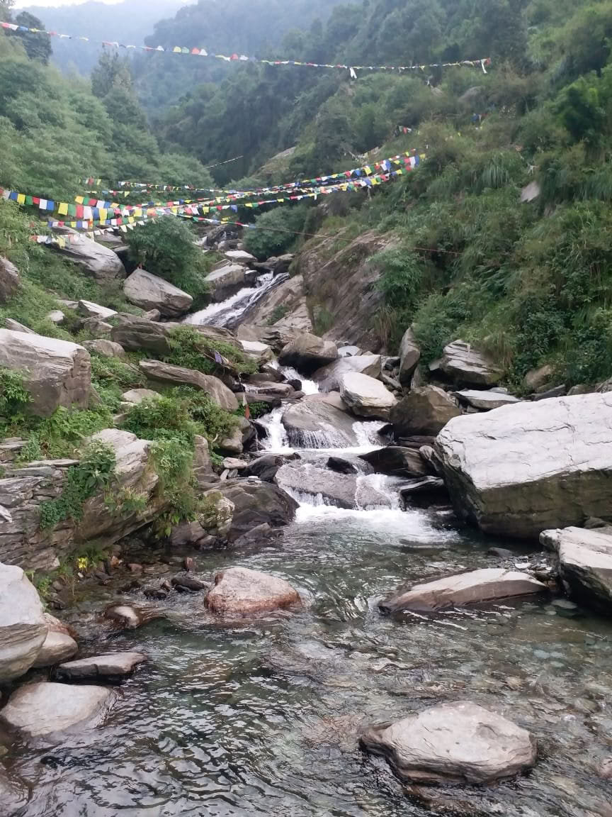200-uurs yoga-lerarenopleiding in Dharamsala