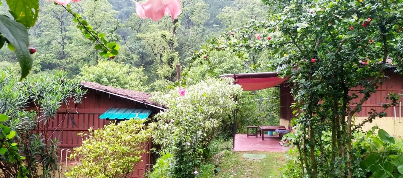 100-uurs yogadocentenopleiding in Rishikesh