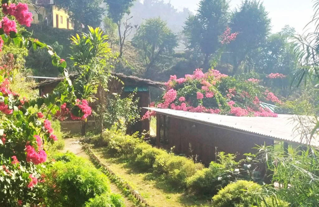 100-uurs yogadocentenopleiding in Rishikesh