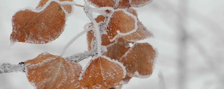Adventsretraite #3