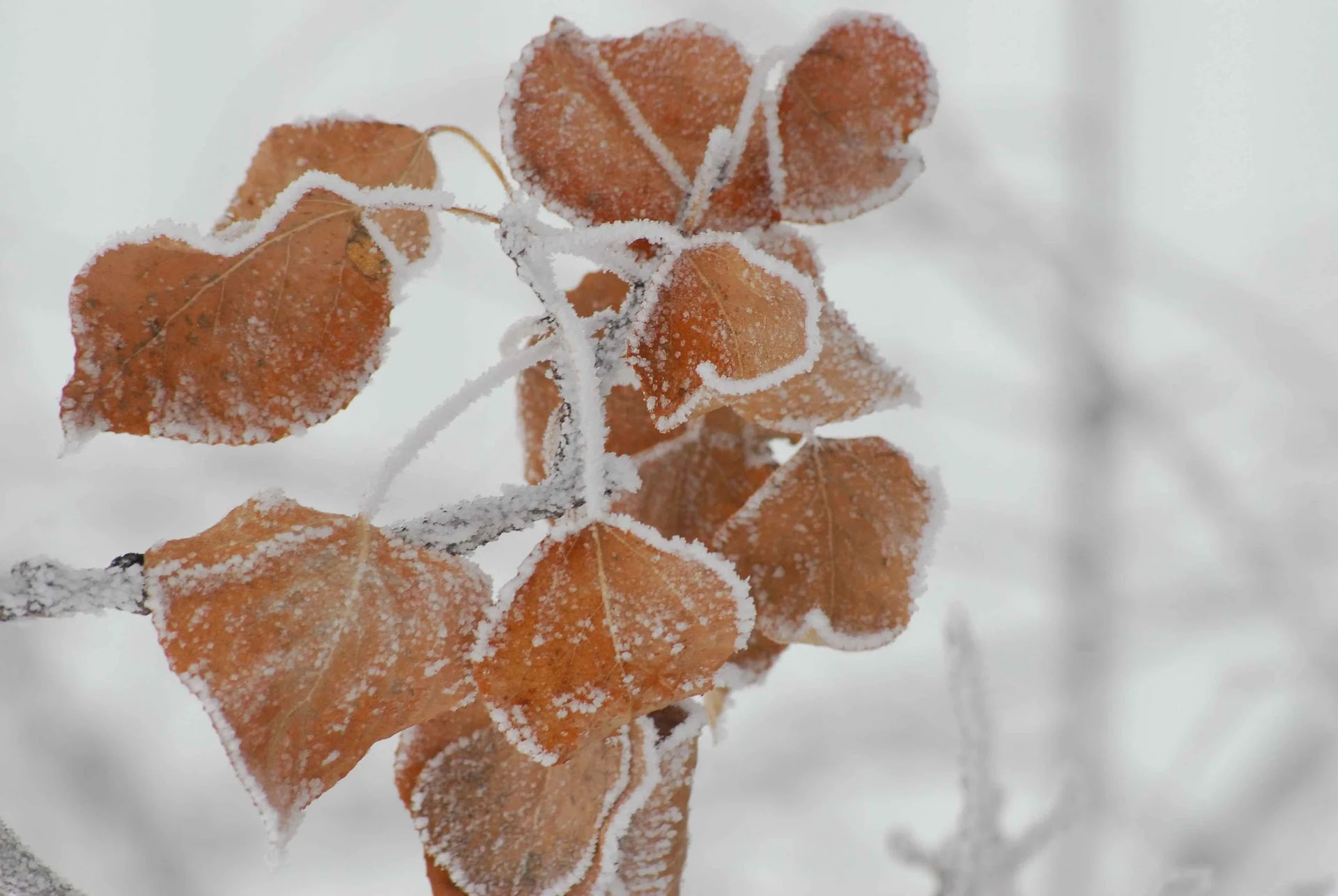 Adventsretreat #1